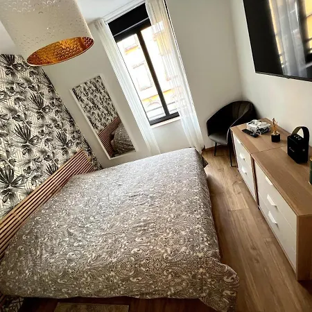 Cosy, Proche Centre-ville Et Gare Homestay Colmar