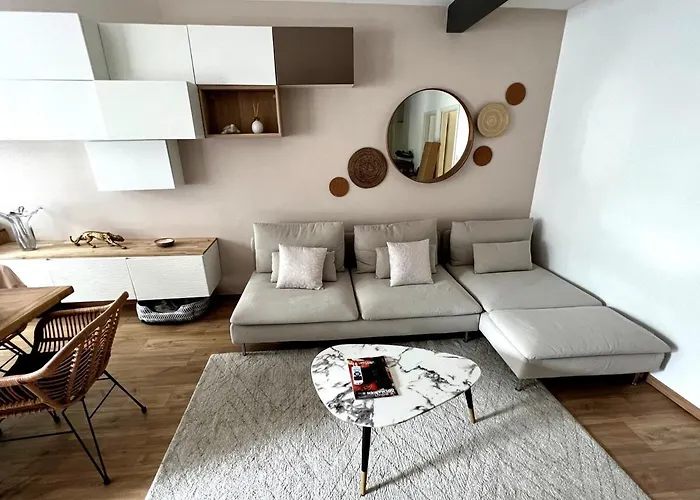 Cosy, Proche Centre-ville Et Gare קולמר